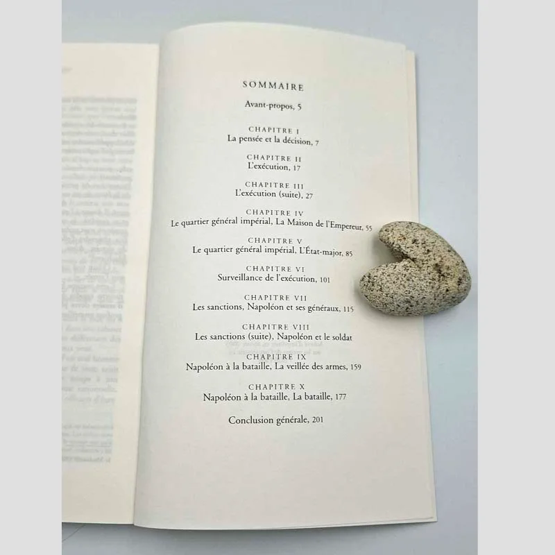 Table des matières et sommaire complet du livre Napoléon en campagne de Jean-Baptiste Vachée.