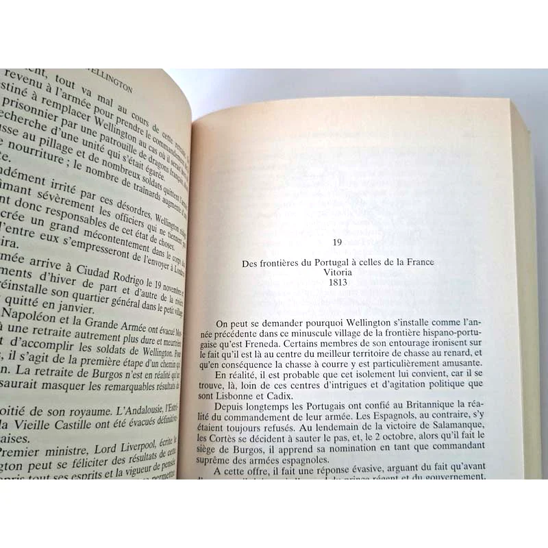 Page de garde du chapitre 19 intitulé Des frontières du Portugal à celles de la France, Vitoria 1813, dans le livre Wellington